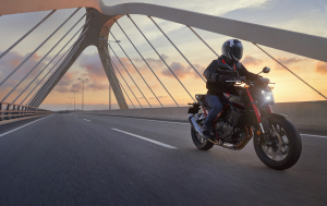 2023 Honda Hornet on bridge